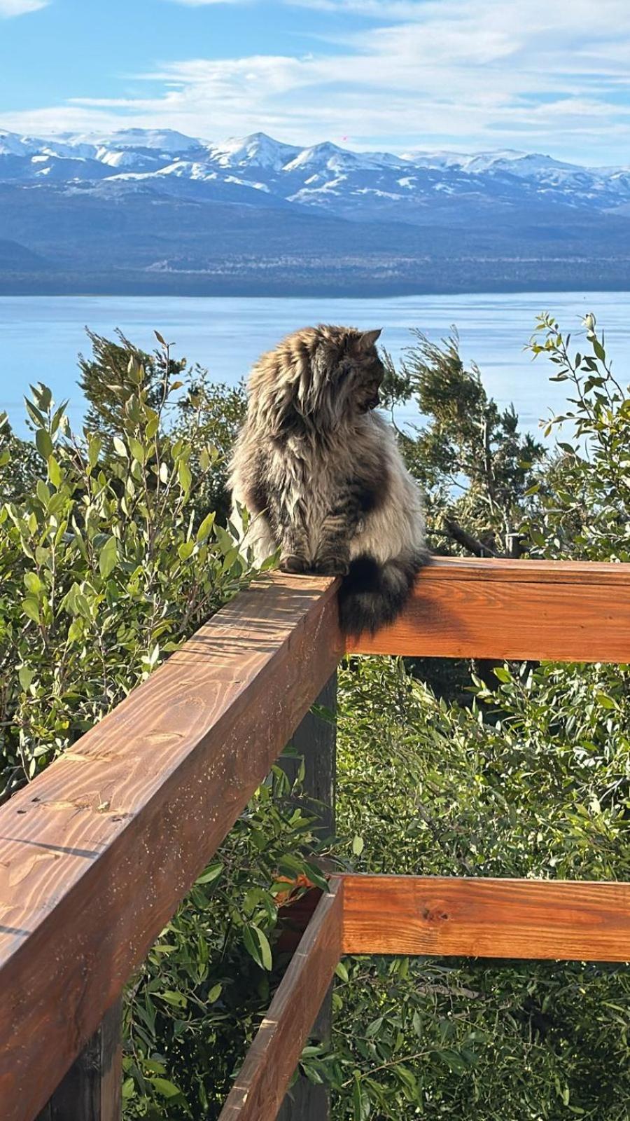 Holiday home De Montana En Cerro Otto Con Increible Vista Al